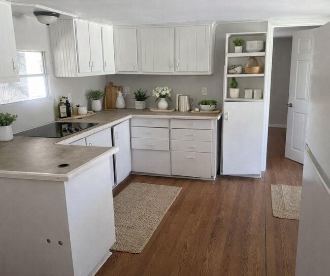 19 Circle Dr in Mount Dora, FL - Building Photo - Building Photo