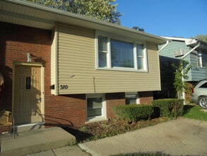 320 Pine Ave in Aurora, IL - Building Photo - Building Photo