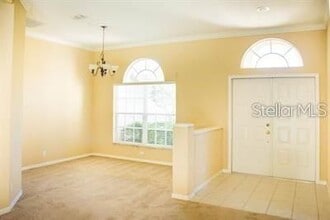 1220 Maravista Dr in Trinity, FL - Building Photo - Building Photo