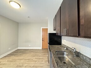 434.5 W Belden Ave in Chicago, IL - Building Photo - Building Photo