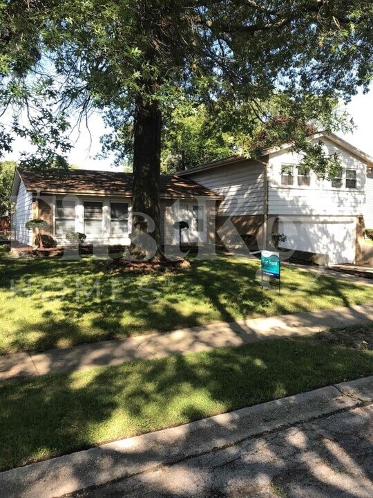 17621 Grandview Dr in Hazel Crest, IL - Building Photo