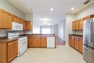 31248 Shaker Cir in Wesley Chapel, FL - Foto de edificio - Building Photo