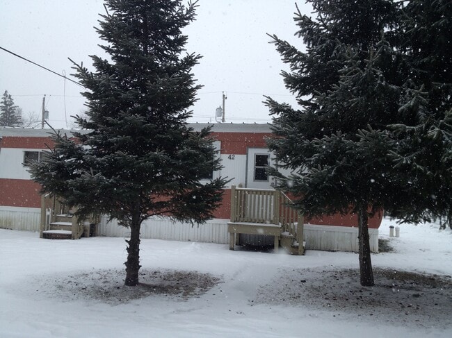 1917 Central Ave in Colonie, NY - Building Photo - Building Photo