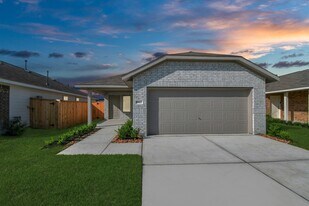 18602 Cepagatti Dr in New Caney, TX - Building Photo