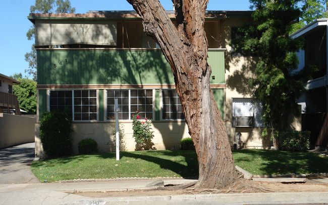 541 S Madison Ave in Pasadena, CA - Foto de edificio - Building Photo