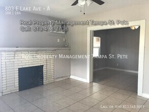 803 E Lake Ave in Tampa, FL - Building Photo - Building Photo
