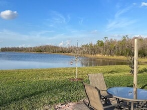 2163 Sedge Grass Way in Orlando, FL - Foto de edificio - Building Photo