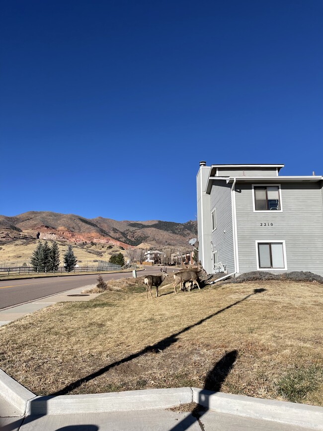 2210 Split Rock Dr in Colorado Springs, CO - Foto de edificio - Building Photo