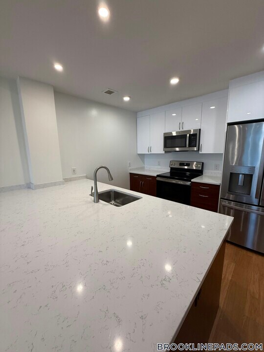 101 Asheville Rd in Brookline, MA - Building Photo