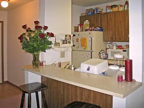 427-431 W Doty in Madison, WI - Building Photo - Building Photo