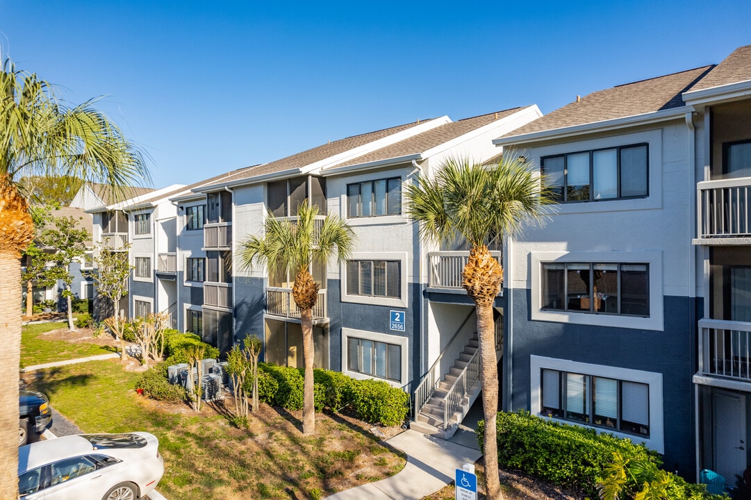 Estates at Countryside in Clearwater, FL - Foto de edificio