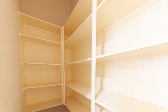 3206 Holly Thicket Dr