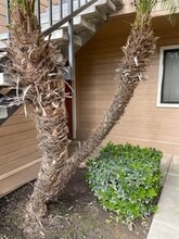 7675 N First St in Fresno, CA - Foto de edificio - Building Photo