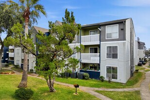 Chestnut Hill in Houston, TX - Building Photo