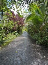 15-2796-2796 Aweoweo St in Pahoa, HI - Building Photo - Building Photo