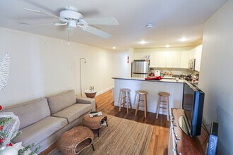 347 Saint Paul St, Unit 5 in Brookline, MA - Building Photo - Building Photo