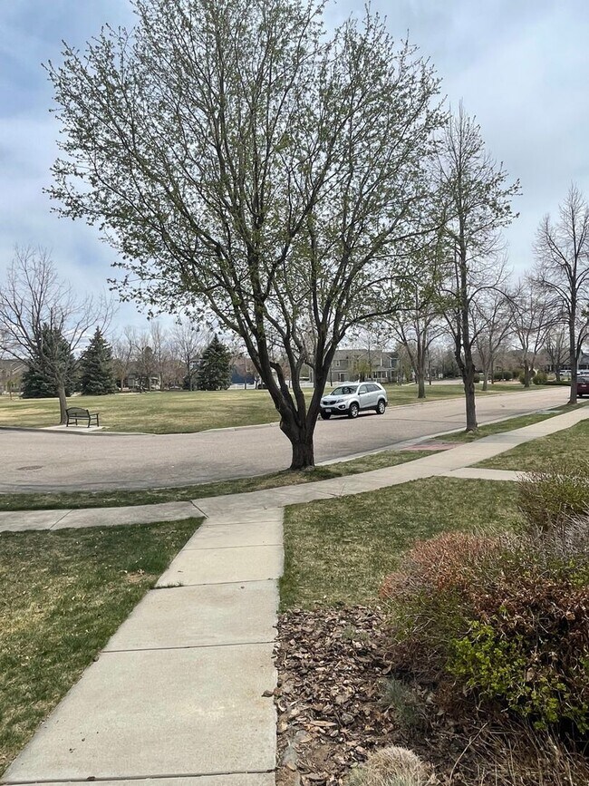 2944 Cornerstone Ln in Fort Collins, CO - Building Photo - Building Photo