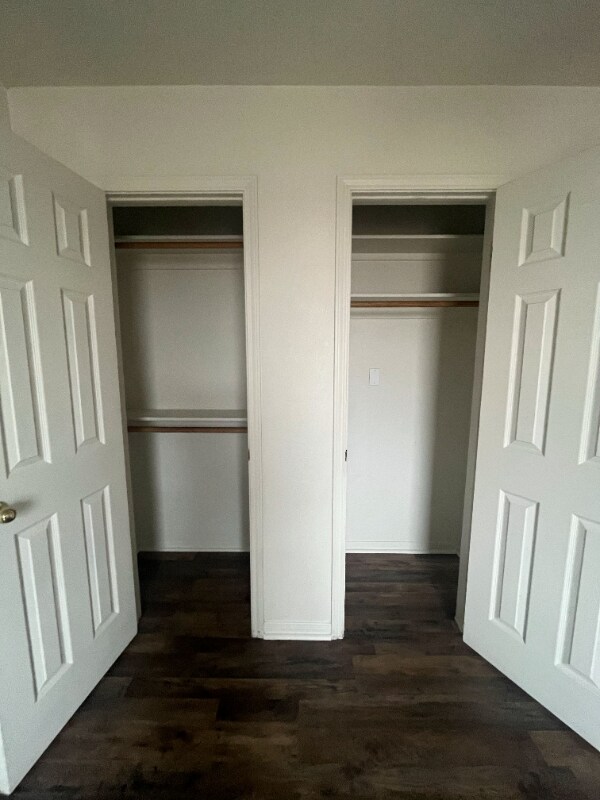 3807 Littleleaf Ct in Killeen, TX - Building Photo - Building Photo