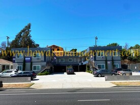 11415VE Apartments