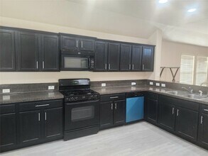 13942 Brayford Pl Ct in Houston, TX - Building Photo - Building Photo