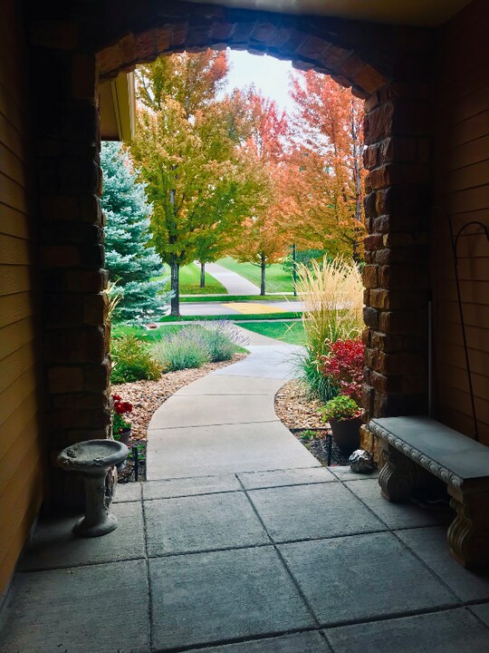 8649 Gold Peak Dr in Highlands Ranch, CO - Building Photo