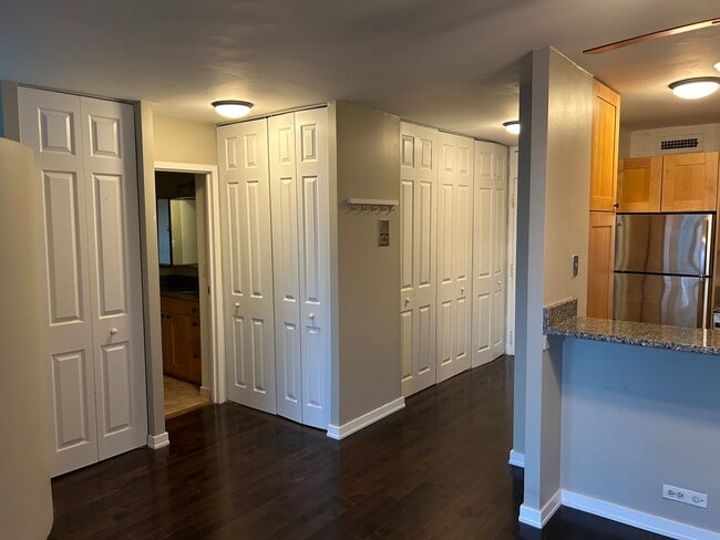 88 W Schiller St in Chicago, IL - Building Photo - Building Photo