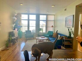 299 Dudley St, Unit 7 in Boston, MA - Building Photo
