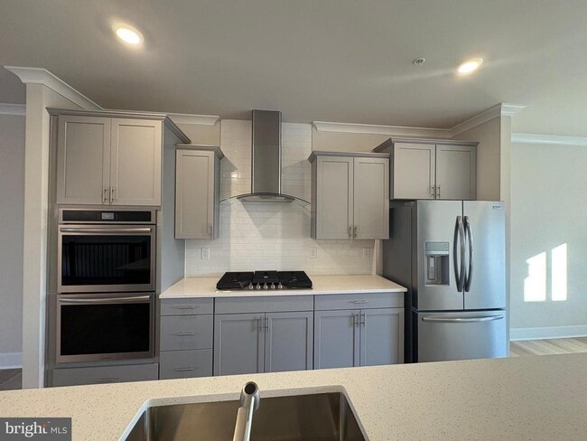 229 Birdie Ct in Pikesville, MD - Building Photo - Building Photo