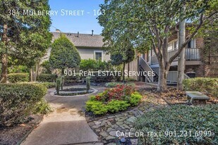 384 Mulberry St in Memphis, TN - Building Photo