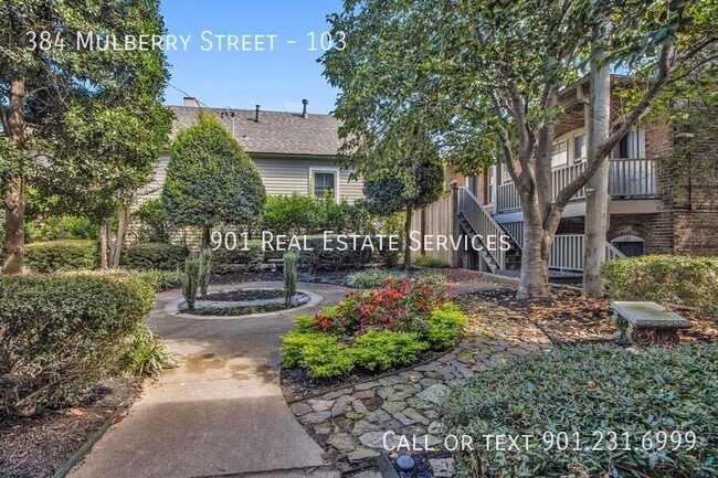 property at 384 Mulberry St