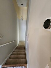 546 Climbing Ivy Ct in Apopka, FL - Building Photo - Building Photo