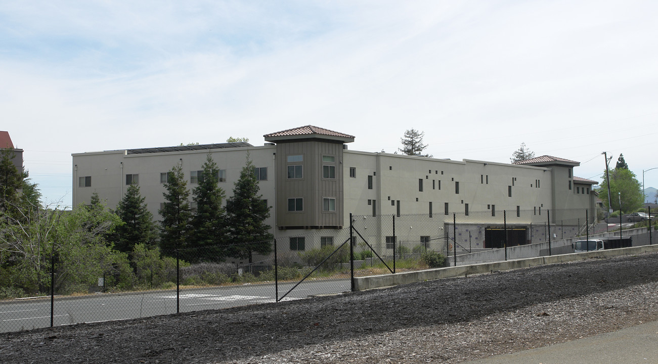 Trinity Avenue Apartments in Walnut Creek, CA - Building Photo