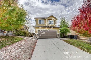 7925 Kettle Drum St in Colorado Springs, CO - Building Photo