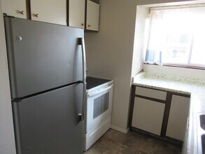 980 Holli Springs Ln in Colorado Springs, CO - Building Photo - Building Photo