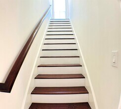 913 Birdsall St in Houston, TX - Building Photo - Building Photo