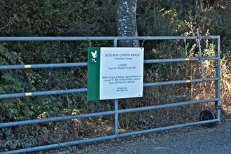 3755 Shoreline Hwy in Stinson Beach, CA - Building Photo - Building Photo