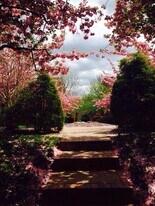 24 S Old Glebe Road, Unit Apt 3C in Arlington, VA - Building Photo