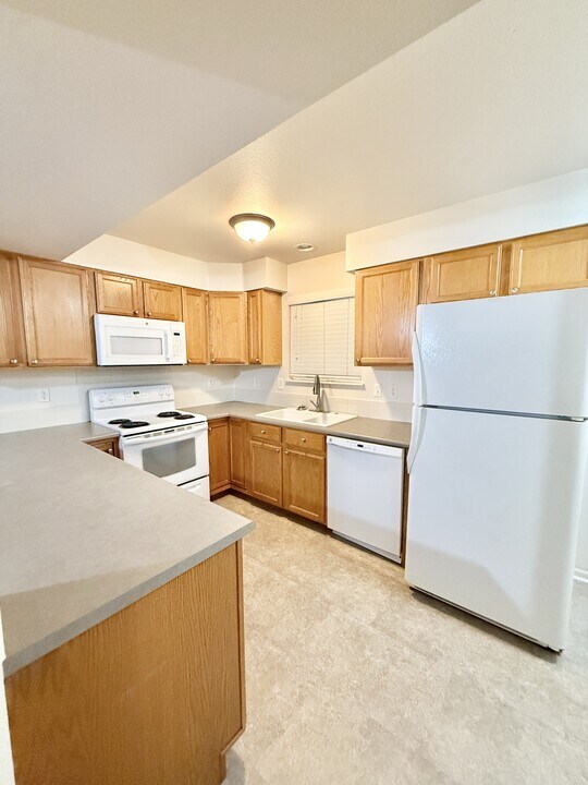 4527 Starflower Dr in Fort Collins, CO - Building Photo