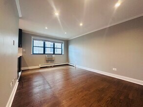 541 W Oakdale Ave in Chicago, IL - Building Photo - Building Photo