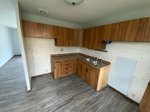 1001 E Seminary St in Danville, IL - Building Photo - Building Photo