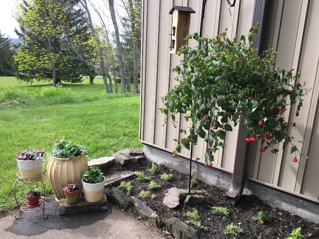 1049 Danby Rd in Ithaca, NY - Building Photo - Building Photo