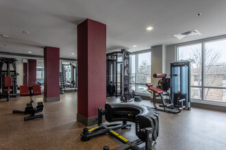 The Standard at College Station in College Station, TX - Building Photo - Interior Photo