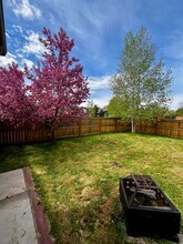 3788 Annie St in Bozeman, MT - Building Photo - Building Photo