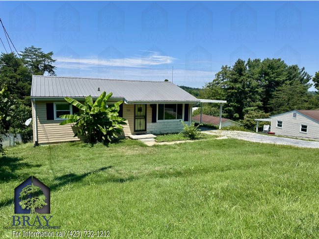 706 Meadowview Dr in Johnson City, TN - Foto de edificio - Building Photo