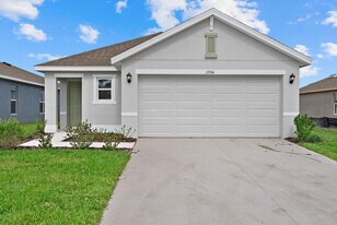 17394 Whiskey Crk Trl in Parrish, FL - Building Photo