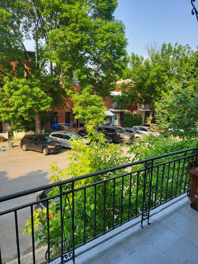 property at 4055 Cartier Rue
