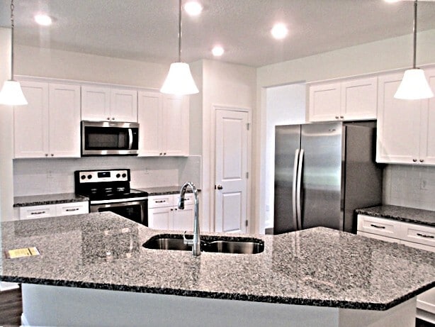 913 Sunny Stroll Dr in Middleburg, FL - Building Photo - Building Photo
