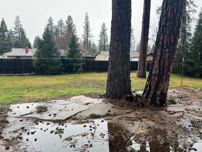 137 2nd St in Quincy, CA - Building Photo - Building Photo