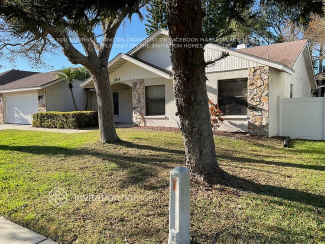 2814 Luce Dr N in Clearwater, FL - Foto de edificio - Building Photo