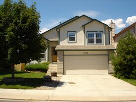 5036 Austerlitz Dr in Colorado Springs, CO - Building Photo